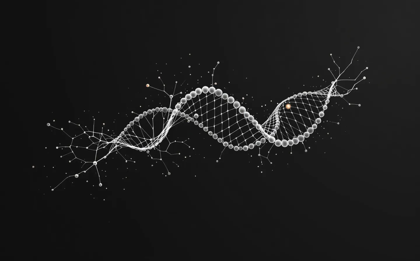 A premium minimalist monochrome illustration of an abstract twenty-nine-node folded peptide chain with one terminal node highlighted in muted brass, in generous negative space on a deep cool graphite ground